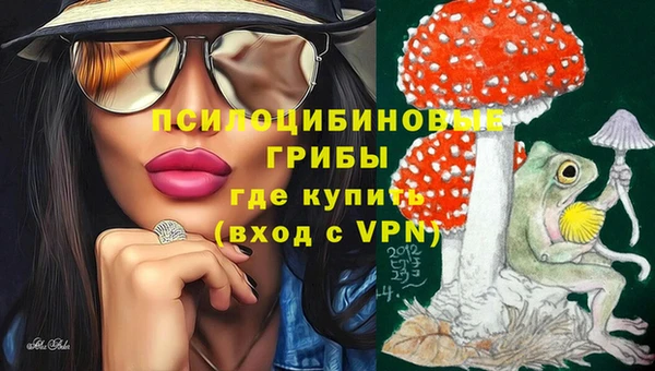 ешки Лабытнанги