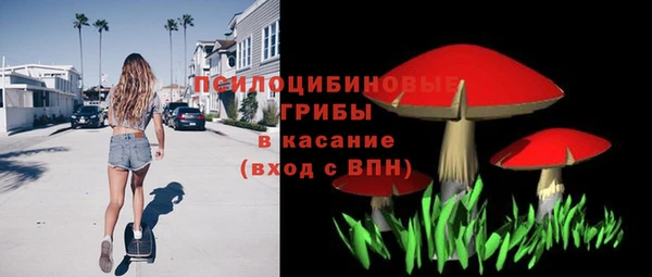 ешки Лабытнанги