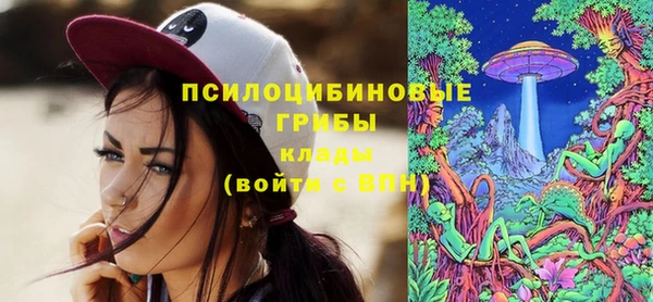 твердый Ладушкин
