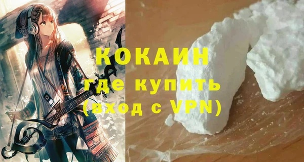 твердый Ладушкин