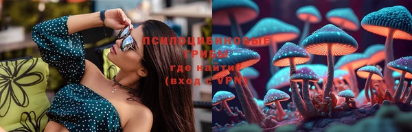 твердый Ладушкин