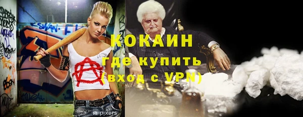 твердый Ладушкин