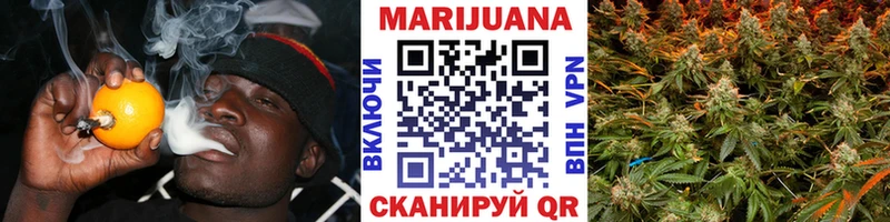 Бошки Шишки планчик  Перевоз 